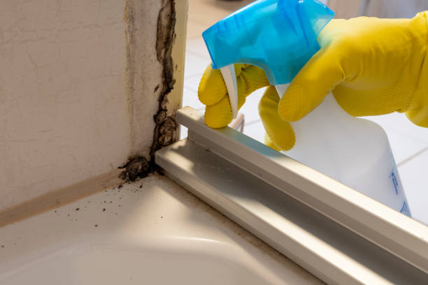 Best Office Mold Removal Services  in Gretna, FL